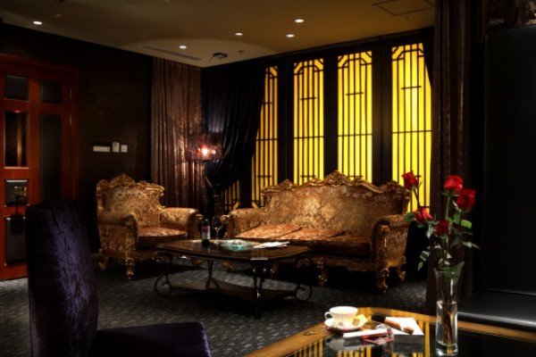 古树茶香，穿越时光的滋味